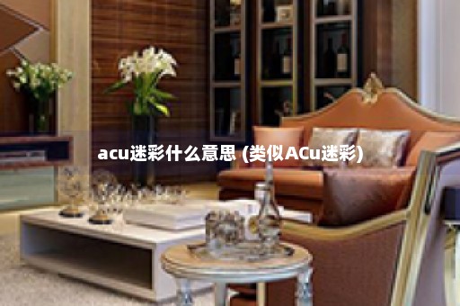 acu迷彩什么意思 (类似ACu迷彩)