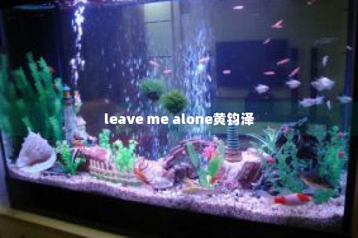 leave me alone黄钧泽