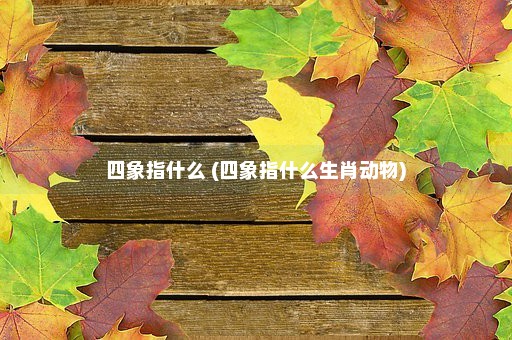 四象指什么 (四象指什么生肖动物)