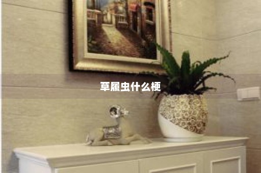 草履虫什么梗