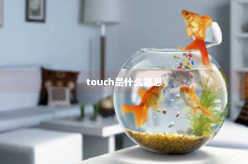 touch是什么意思