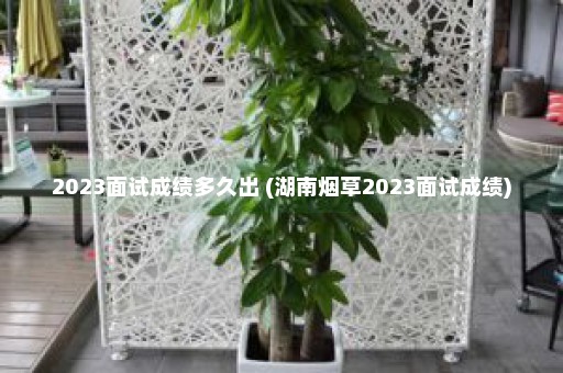 2023面试成绩多久出 (湖南烟草2023面试成绩)