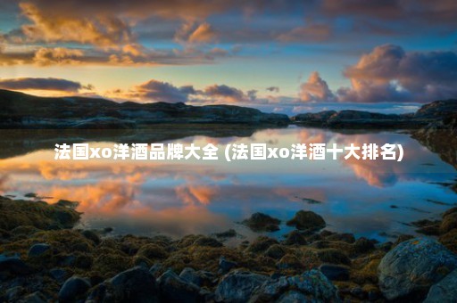 法国xo洋酒品牌大全 (法国xo洋酒十大排名)