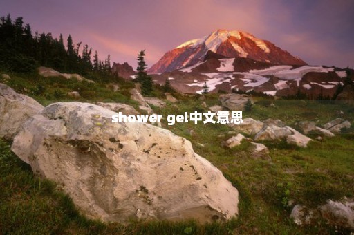 shower gel中文意思