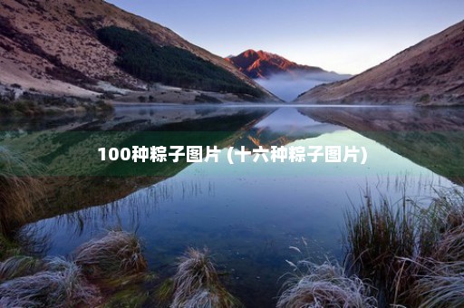 100种粽子图片 (十六种粽子图片)