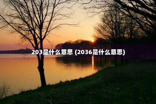 203是什么意思 (2036是什么意思)