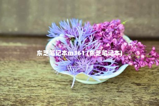 东芝笔记本m361 (东芝笔记本)