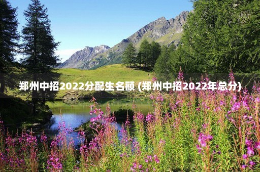 郑州中招2022分配生名额 (郑州中招2022年总分)