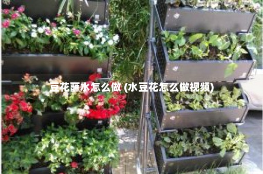 豆花蘸水怎么做 (水豆花怎么做视频)