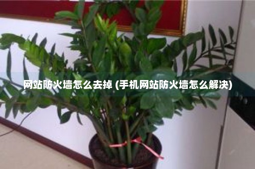 网站防火墙怎么去掉 (手机网站防火墙怎么解决)