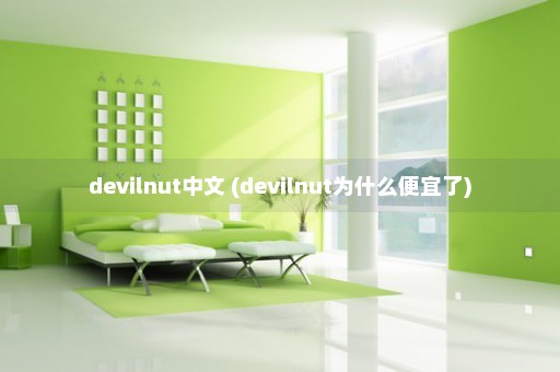 devilnut中文 (devilnut为什么便宜了)