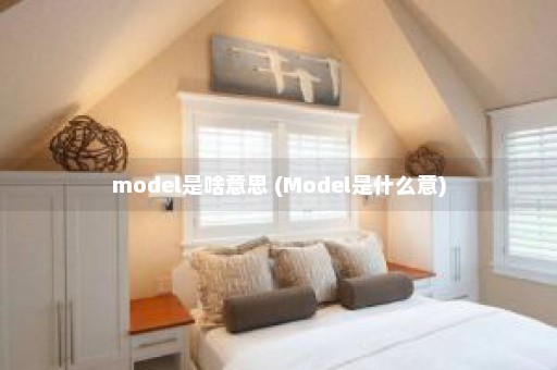 model是啥意思 (Model是什么意)