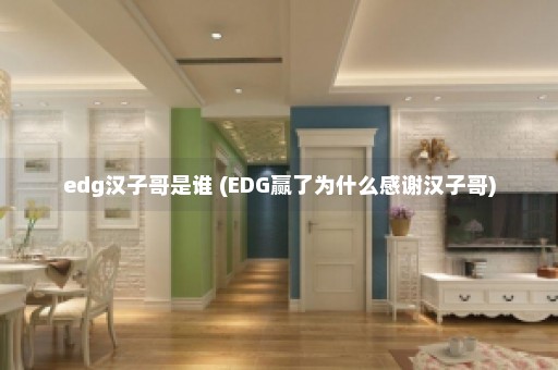 edg汉子哥是谁 (EDG赢了为什么感谢汉子哥)