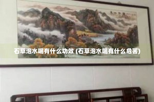 石草泡水喝有什么功效 (石草泡水喝有什么危害)