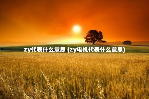 zy代表什么意思 (zy电机代表什么意思)