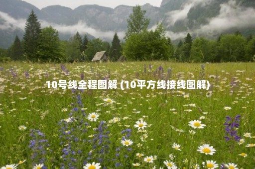 10号线全程图解 (10平方线接线图解)