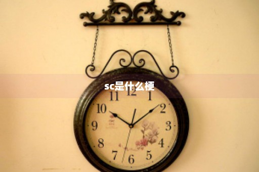 sc是什么梗