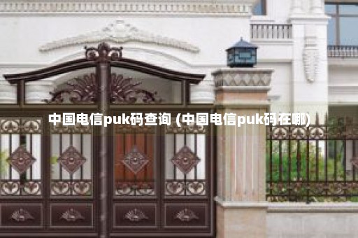 中国电信puk码查询 (中国电信puk码在哪)