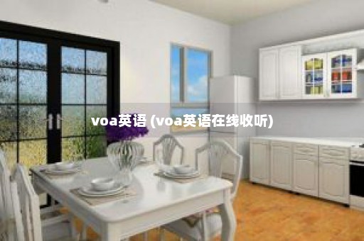 voa英语 (voa英语在线收听)