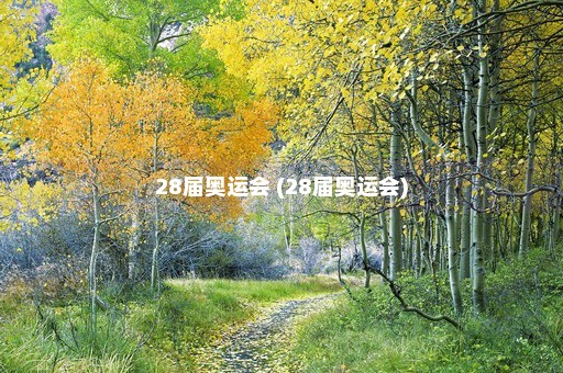 28届奥运会 (28届奥运会)