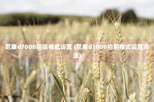 尼康d7000拍摄模式设置 (尼康d7000拍照模式设置方法)