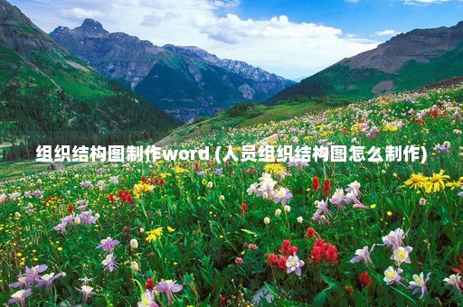 组织结构图制作word (人员组织结构图怎么制作)