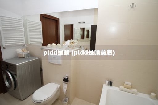 pldd是啥 (pldd是啥意思)