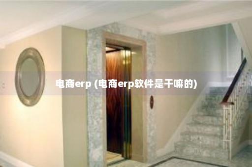 电商erp (电商erp软件是干嘛的)