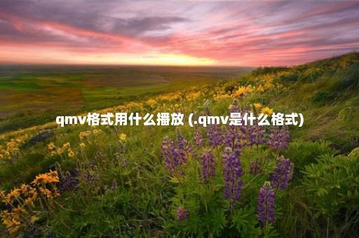 qmv格式用什么播放 (.qmv是什么格式)