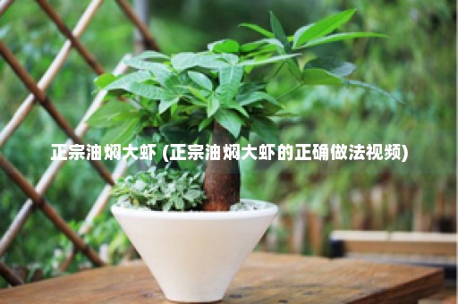 正宗油焖大虾 (正宗油焖大虾的正确做法视频)