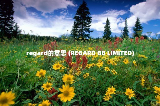 regard的意思 (REGARD GB LIMITED)