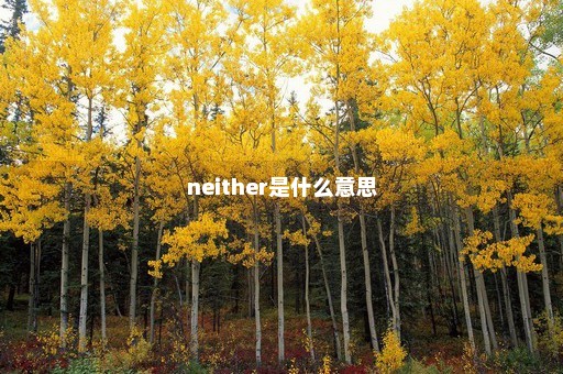 neither是什么意思