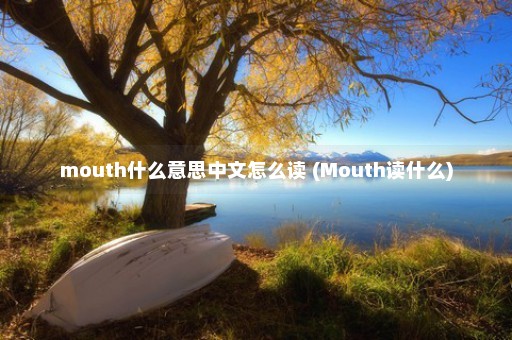 mouth什么意思中文怎么读 (Mouth读什么)