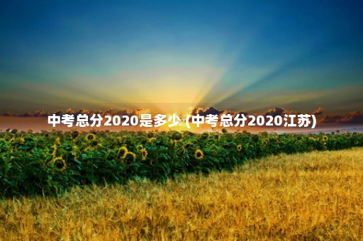 中考总分2020是多少 (中考总分2020江苏)