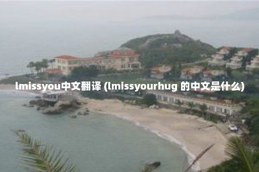 lmissyou中文翻译 (lmissyourhug 的中文是什么)