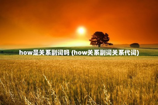 how是关系副词吗 (how关系副词关系代词)