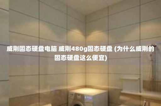 威刚固态硬盘电脑 威刚480g固态硬盘 (为什么威刚的固态硬盘这么便宜)