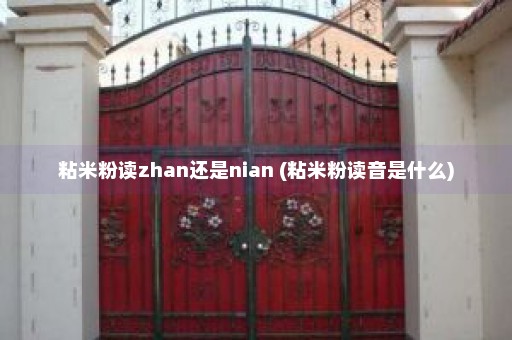 粘米粉读zhan还是nian (粘米粉读音是什么)