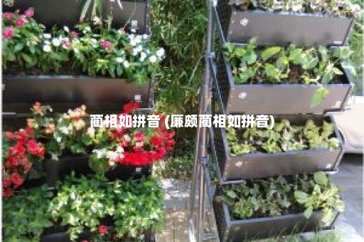 蔺相如拼音 (廉颇蔺相如拼音)