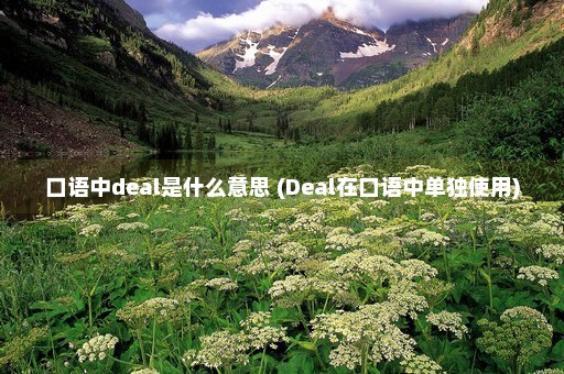 口语中deal是什么意思 (Deal在口语中单独使用)