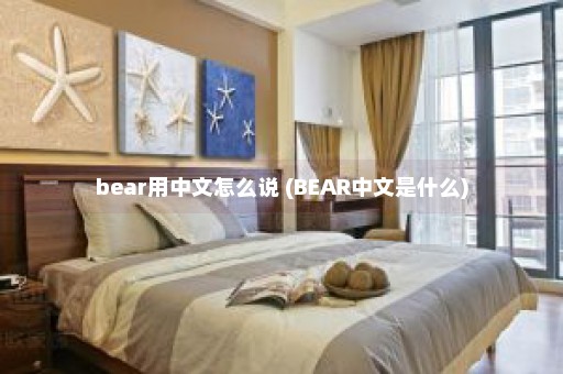 bear用中文怎么说 (BEAR中文是什么)