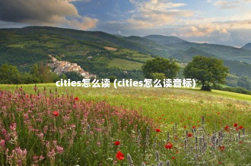 cities怎么读 (cities怎么读音标)