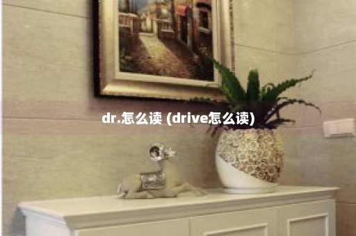 dr.怎么读 (drive怎么读)