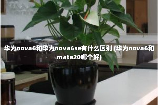 华为nova6和华为nova6se有什么区别 (华为nova6和mate20哪个好)