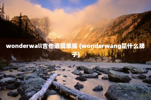 wonderwall吉他谱简单版 (wonderwang是什么牌子)