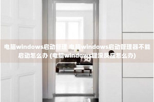 电脑windows启动管理 电脑windows启动管理器不能启动怎么办 (电脑windows键没反应怎么办)