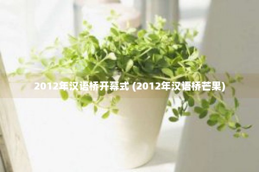 2012年汉语桥开幕式 (2012年汉语桥芒果)