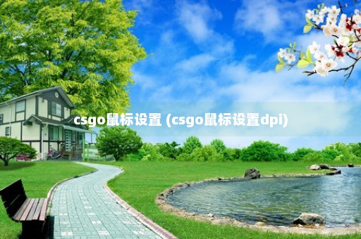 csgo鼠标设置 (csgo鼠标设置dpi)