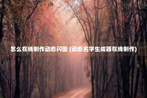 怎么在线制作动态闪图 (动态名字生成器在线制作)