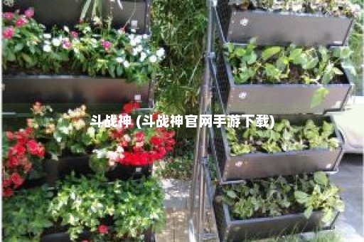 斗战神 (斗战神官网手游下载)